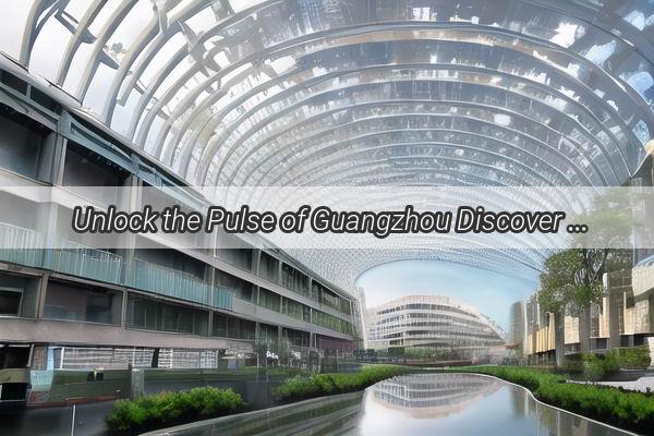 Unlock the Pulse of Guangzhou Discover the Citys Vibrant Media Landscape